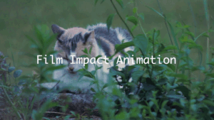 【Premiere Pro 2025】ビデオトランジション〜Film Impact① 〜